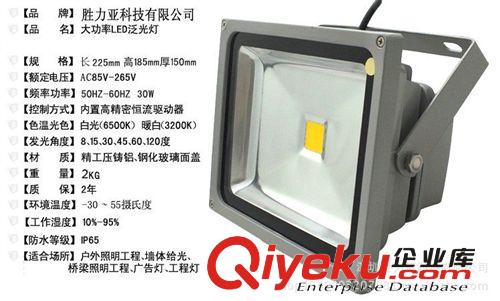 LED投光燈30W泛光燈戶外防水，廠房庭院運動場廣告牌投射保2年