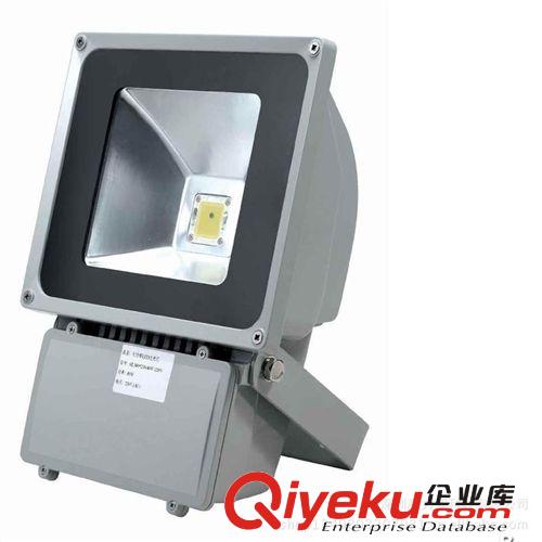100w投光燈 100w泛光燈 100w投光燈/廣告燈/戶外燈/景觀燈/庭院原始圖片2