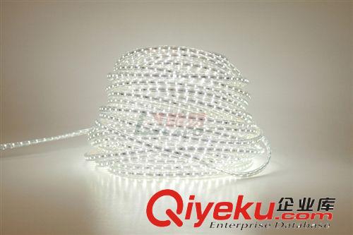 LED燈帶超高亮5050貼片220V背景墻led暗槽燈防水軟燈條原始圖片2