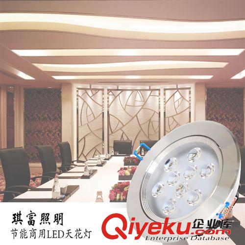 【琪富照明】廠家直銷led球泡燈 3W塑料球泡燈 價格優惠 一件起批