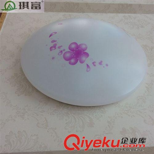 廠家直銷高品質(zhì)12W LED吸頂燈臥室燈樓梯燈陽臺燈兒童房更多優(yōu)惠