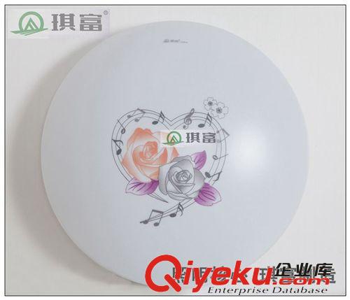 廠家直銷高品質(zhì)12W LED吸頂燈臥室燈樓梯燈陽臺燈兒童房更多優(yōu)惠原始圖片2