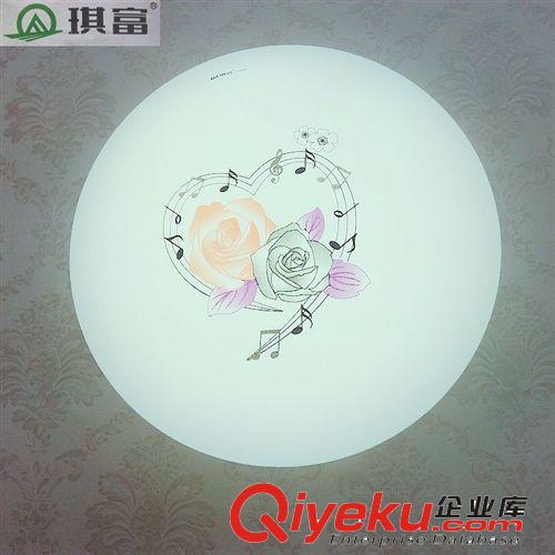 廠家直銷高品質(zhì)12W LED吸頂燈臥室燈樓梯燈陽臺燈兒童房更多優(yōu)惠原始圖片3