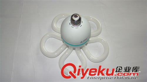 梅花節能燈、廠家生產、直銷、價格優惠、質量保證、支持小額批發