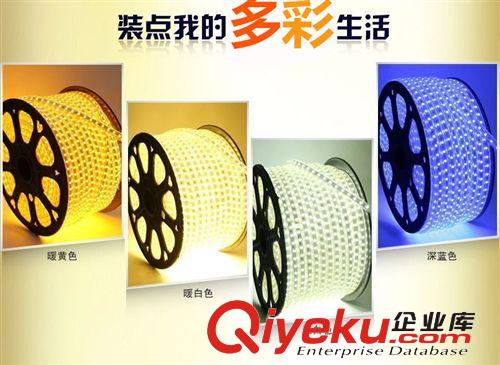 5050燈帶高亮RGB戶外LED燈帶60珠高壓220V柜臺裝修軟燈條