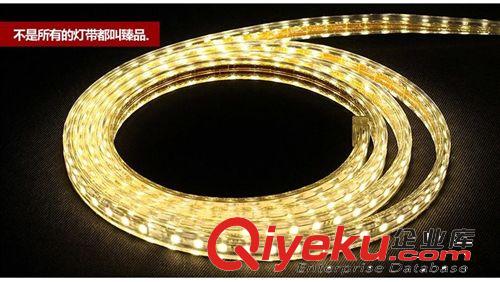 5050燈帶高亮RGB戶外LED燈帶60珠高壓220V柜臺裝修軟燈條
