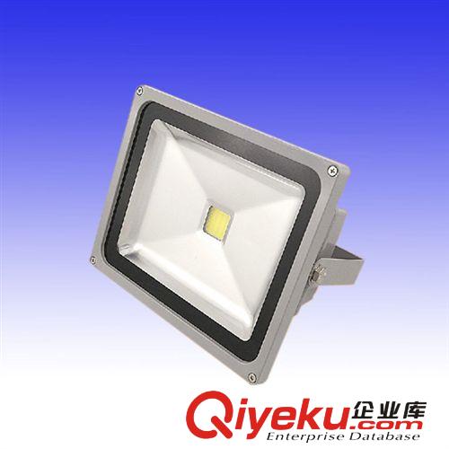 中山揚(yáng)誠(chéng)照明：led投光燈 集成 50W泛光燈 廠家直銷批發(fā)價(jià) 工程燈