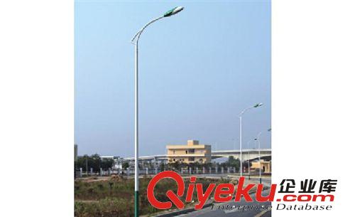 中山揚誠照明：led路燈燈桿 單臂燈桿 廠家直銷路燈裝飾 戶外燈具