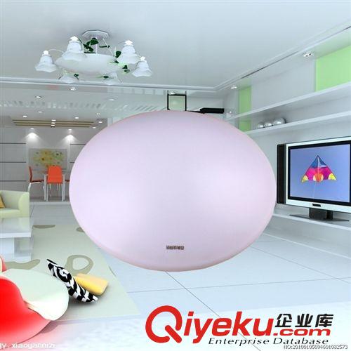 燈飾廠家直銷全白LED家居圓形吸頂燈 批發(fā)工程用燈LED吸頂燈原始圖片2