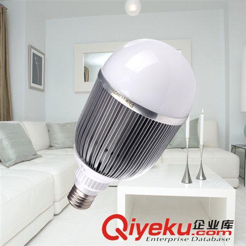 批發LED塑料球泡燈特大球泡 車鋁外殼塑料球泡 13W高亮LED球泡