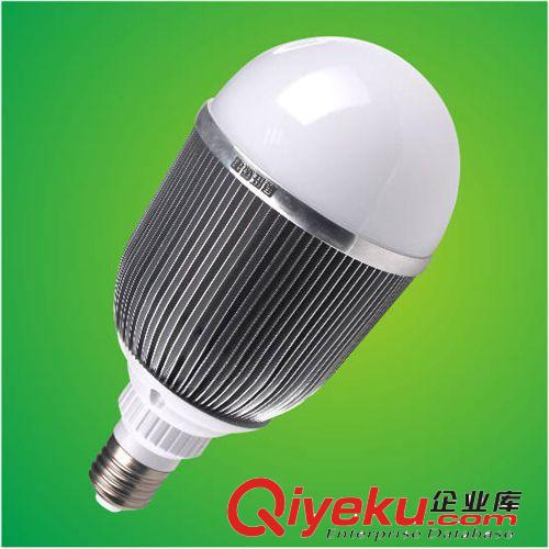 批發LED塑料球泡燈特大球泡 車鋁外殼塑料球泡 13W高亮LED球泡