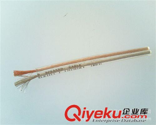 飛利浦 高純二芯電話線SWL2200/93-100