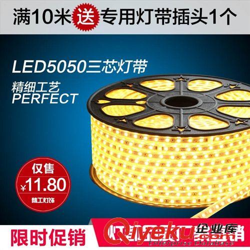 LED燈帶專用防水驅動插頭 220V電源配插針尾塞 客廳吊頂燈帶插頭
