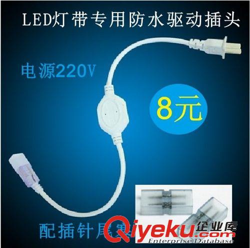 LED燈帶專用防水驅動插頭 220V電源配插針尾塞 客廳吊頂燈帶插頭