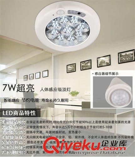 LED燈帶專用防水驅動插頭 220V電源配插針尾塞 客廳吊頂燈帶插頭