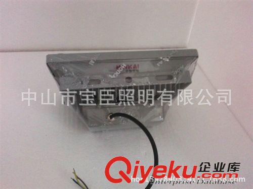 專業(yè)供應(yīng) 新款LED集成投光燈 室內(nèi)LED集成投光燈原始圖片3