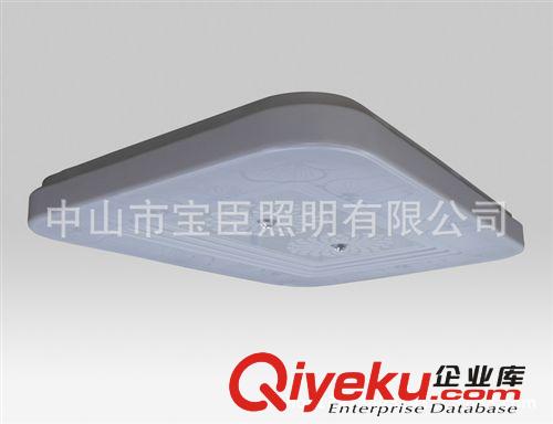專業(yè)供應(yīng) 新款LED集成投光燈 室內(nèi)LED集成投光燈