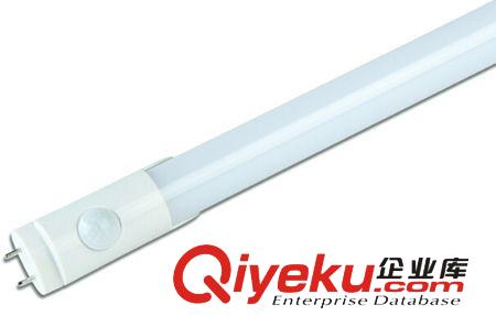 LED感應日光燈,T8感應燈管,生產廠家直銷