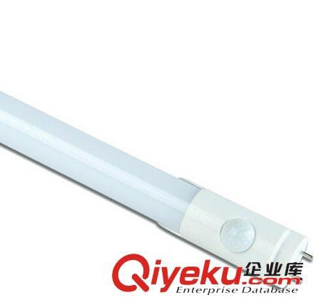 LED感應日光燈,T8感應燈管,生產廠家直銷