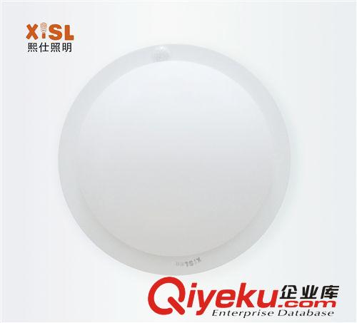 LED聲光控感應(yīng)吸頂燈、紅外感應(yīng)吸頂燈原始圖片2