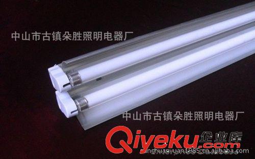 【廠家直銷】T5雙管帶罩一體化支架 DS-2X28W熒光燈支架