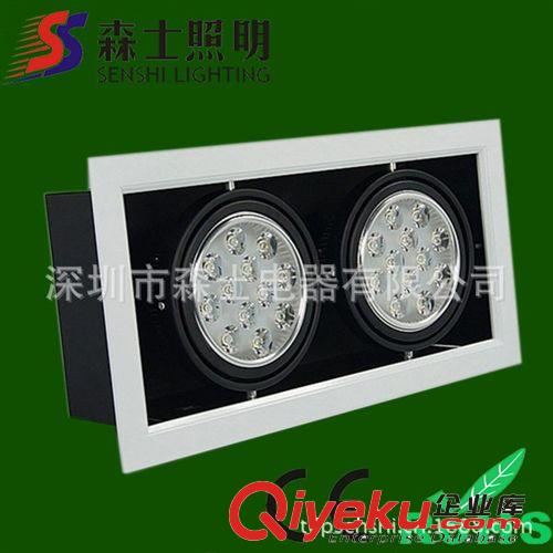 双头LED豆胆灯 12w*2 防锈工艺铝合金材质 LED天花灯