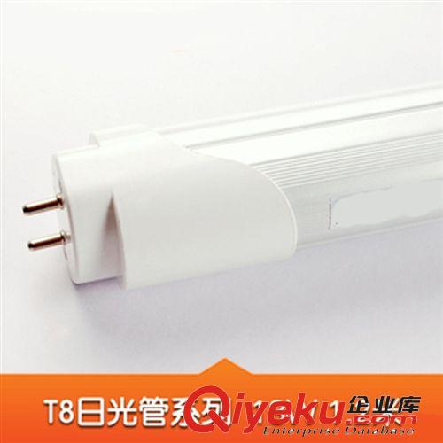 tj T8 LED日光燈支架0.6 0.9 1.2米節(jié)能燈管燈座單管燈架燈具