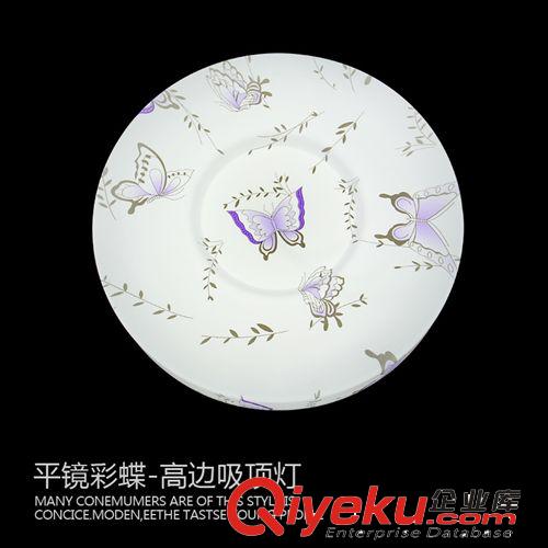 新款LED吸頂燈臥室燈書房燈飾燈具 平鏡彩蝶異形高邊吸頂燈原始圖片2