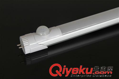 【企業(yè)集采】T8LED燈管 貼片LED燈管 1.2米led熒光燈管T8