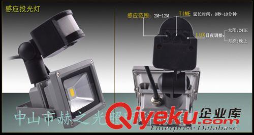 人體感應10w20w30w50wLED投光燈幻光彩色感應燈AC85-365V可做12v原始圖片2