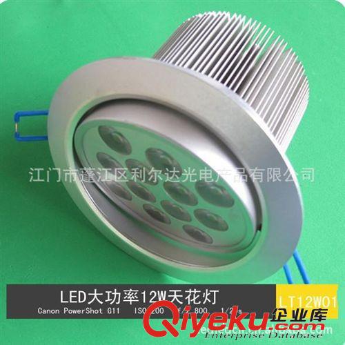 廠家直銷大量供應(yīng)LED12W豆膽燈LD12W01