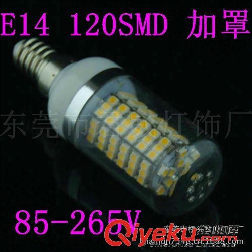 君威供应LED玉米灯 E14 120SMD 3528 照明灯系列 加透明