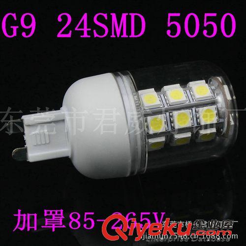 君威供應G9LED玉米燈 24SMD 5050LED照明燈系列 加透明罩