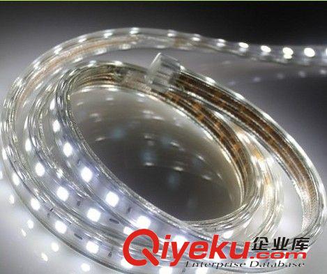 LED防水燈帶 2835貼片燈條 高亮超亮 吊頂暗槽燈 tj 軟燈條原始圖片3
