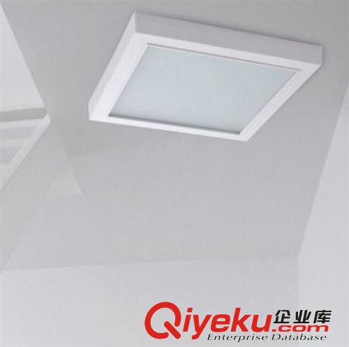 【燈掌柜】LED廚衛燈吸頂燈廚房燈浴室陽臺過道燈明裝LED燈CW-012原始圖片3