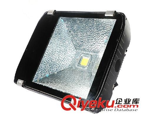 專業生產LED隧道燈 路燈 投光燈 大型戶外照明燈具 隧道燈定做原始圖片2
