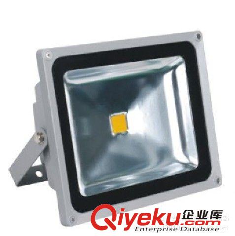 廠家直銷LED集成投光燈30W，3000-6500K 投光燈 集成led 量大從優(yōu)原始圖片2