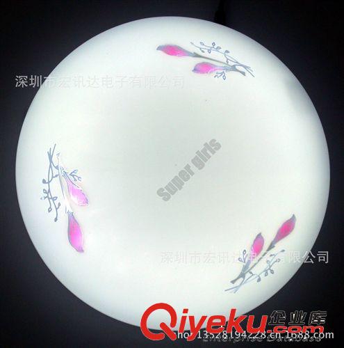 廠家熱銷各種吸頂燈、LED吸頂燈 普通燈管吸頂燈、適合陽臺過道