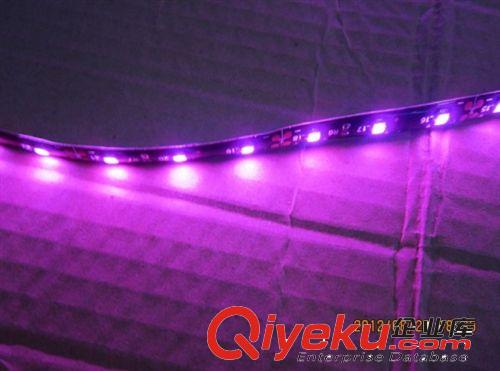 粉紅色/紫光/紫色 白板12V3528 60珠LED貼片滴膠燈帶 光帶 12-24V原始圖片2