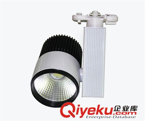 【優(yōu)良品質(zhì)】供應(yīng)DW-TD-6008 20wCOB筒燈 德威