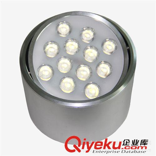 【顧客{dy}】供應DW-TD-6010明裝筒燈 led射燈 12W 產品精美時尚