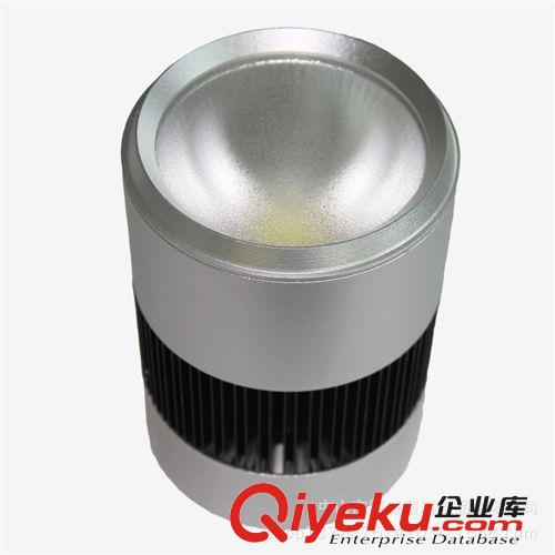 【顧客{dy}】供應DW-TD-6010明裝筒燈 led射燈 12W 產品精美時尚
