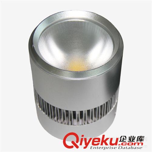 【品質保證】供應DW-TD-6009明裝筒燈 led射燈 12W 產品精美時尚原始圖片2