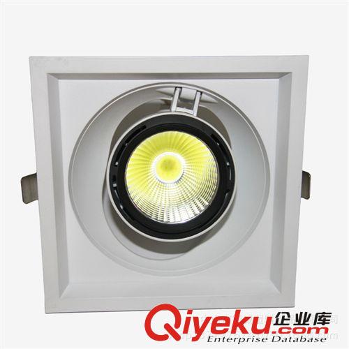 【聲譽(yù)佳】供應(yīng)DW-GS-4008-單頭LED格柵射燈 12wCOB 產(chǎn)品精美時(shí)尚原始圖片2