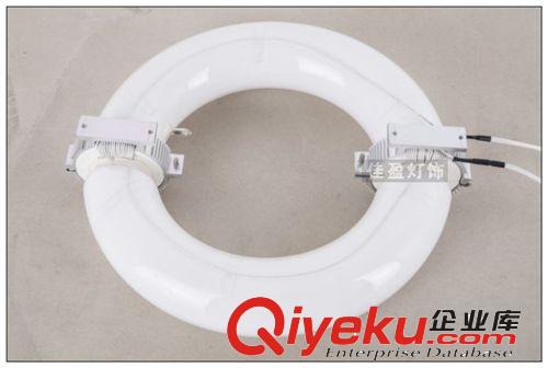 廠家直銷120W無極燈燈管低頻無極燈光源環(huán)形光源路燈工礦燈泛光燈原始圖片2