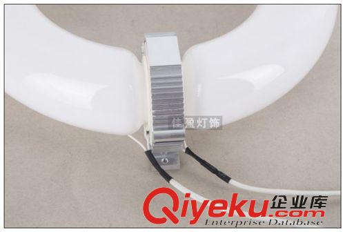 廠家直銷120W無極燈燈管低頻無極燈光源環(huán)形光源路燈工礦燈泛光燈原始圖片3