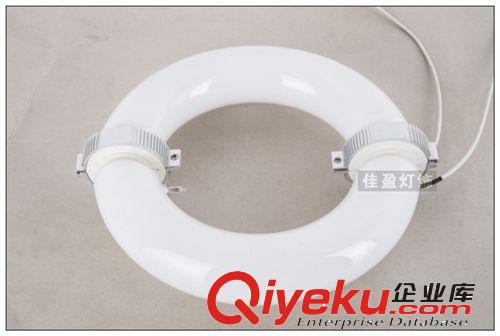 廠家直銷60W無極燈燈管低頻無極燈光源環(huán)形光源路燈工礦燈泛光燈