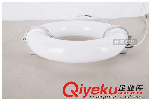 廠家直銷60W無極燈燈管低頻無極燈光源環(huán)形光源路燈工礦燈泛光燈原始圖片3
