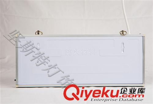 廠家熱銷 量大從優(yōu)LED消防應(yīng)急標(biāo)志燈/疏散指示燈原始圖片3