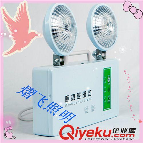 廠家熱批LED應急雙頭燈/應急民用燈/應急照明燈量大從優原始圖片3
